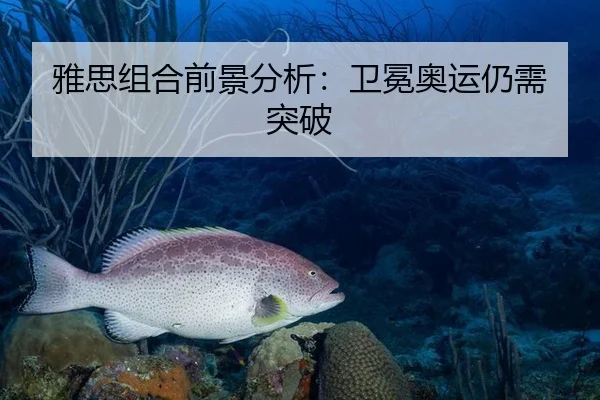 雅思组合前景分析：卫冕奥运仍需突破