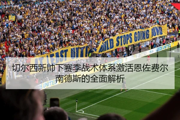 切尔西新帅下赛季战术体系激活恩佐费尔南德斯的全面解析